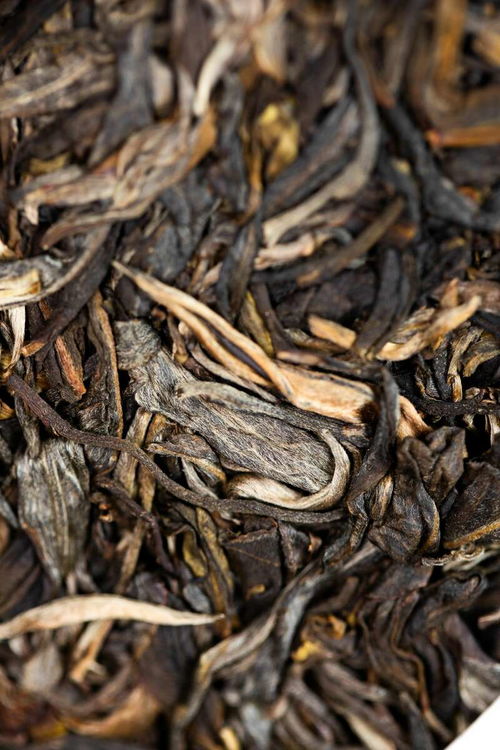 海灣茶業(yè)百福聚首,萬(wàn)事順?biāo)? />
</span>
<span id=