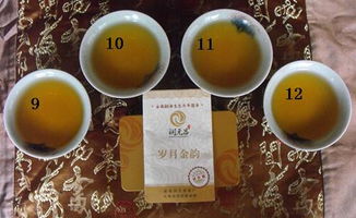 一茶一世界，一飲一傾心 潤元昌歲月金韻茶樣試喝體驗