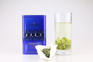 CCTV國家品牌計劃扶貧推薦產(chǎn)品 品味古丈毛尖，助力湘西振興——探訪古陽河75g精品古丈毛尖